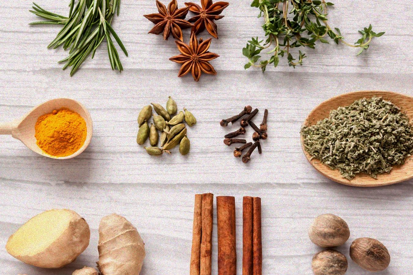 Hausmittel gegen Ameisen