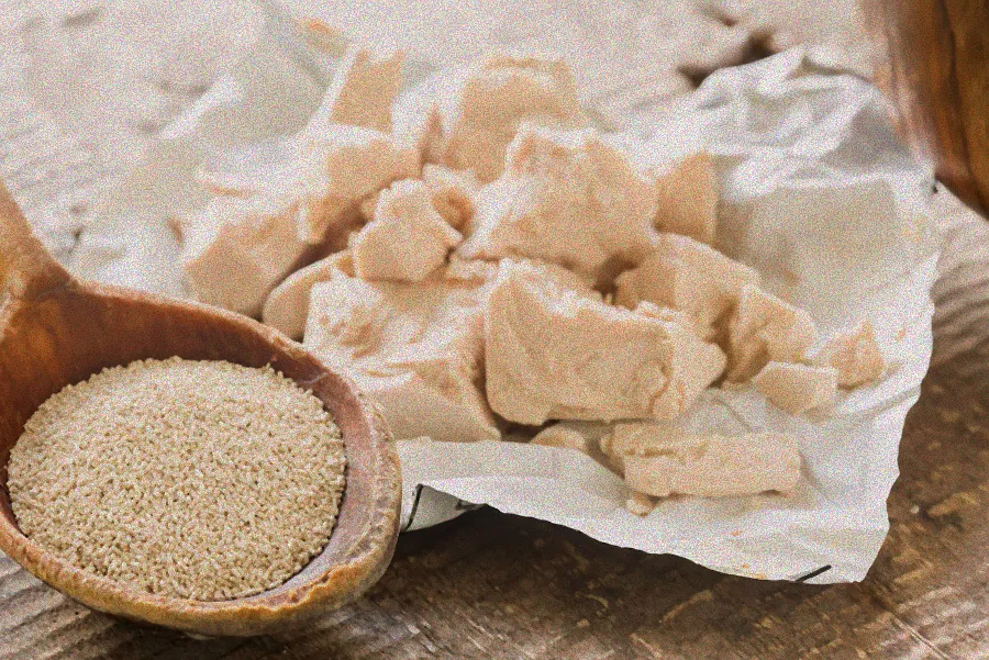 ameisen in der küche entfernen