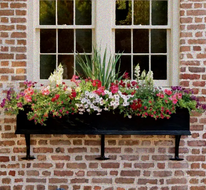 Sonniger Balkon mit Blumen