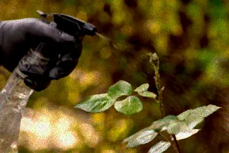 Chemiefreie Schädlingsbekämpfung