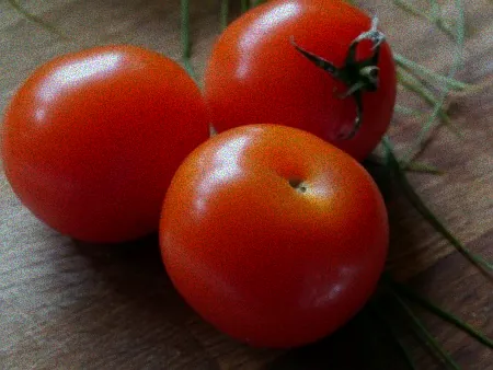 Tipps gegen Blattläuse