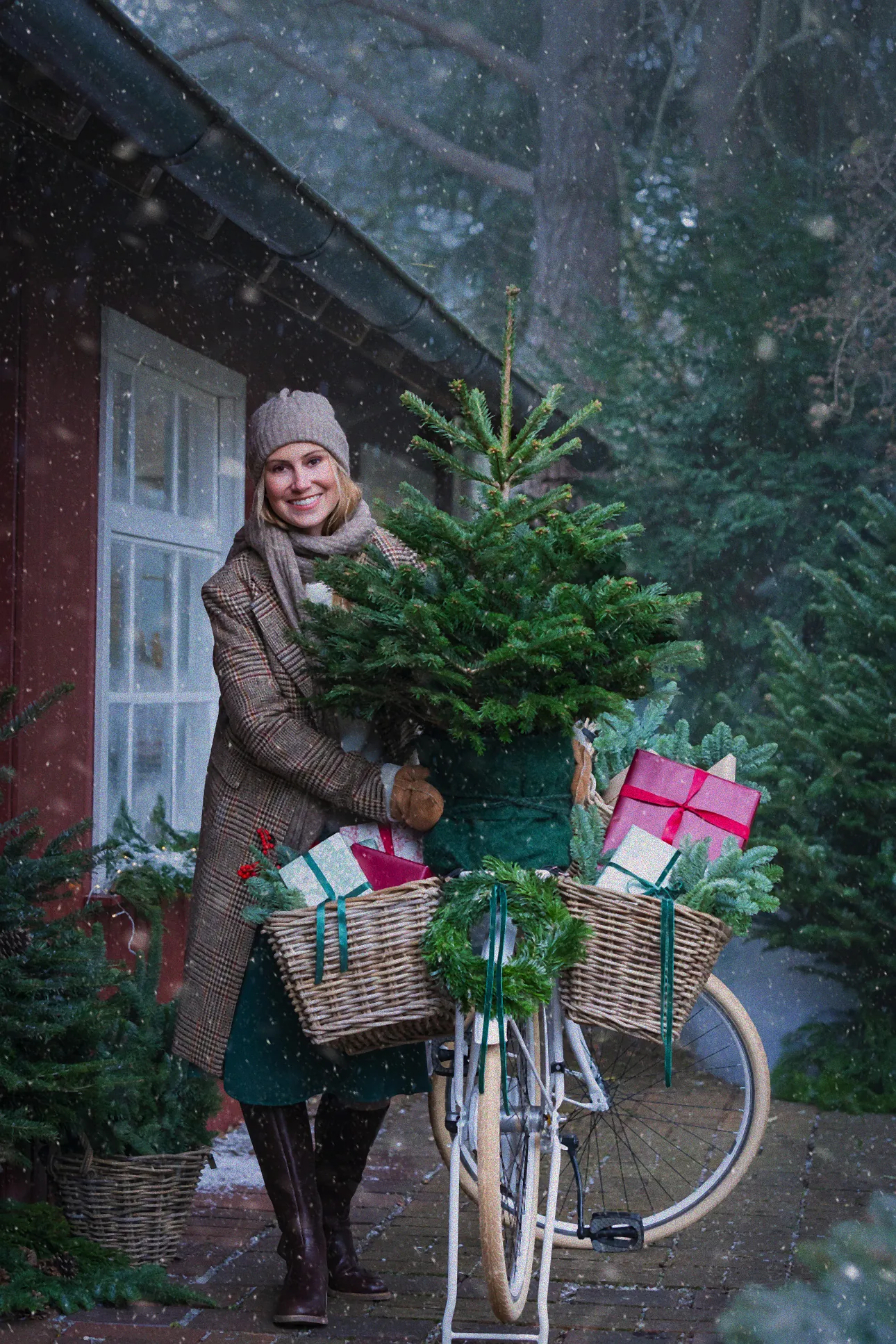 dehner trauermücken