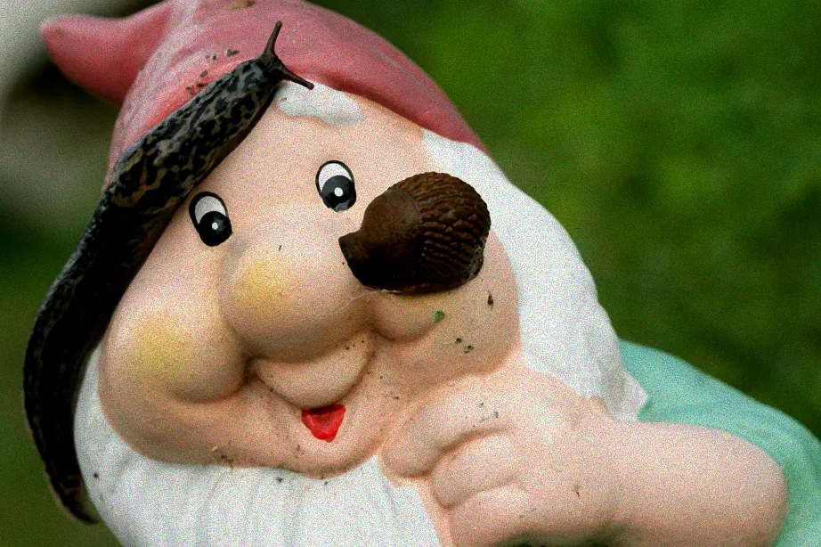 Kalkstreuer im Garten