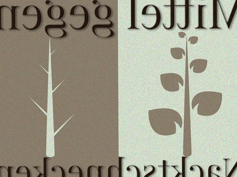 haushaltsmittel gegen nacktschnecken