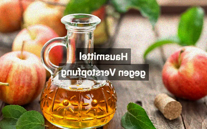 Hausmittel gegen Pflanzenfliegen