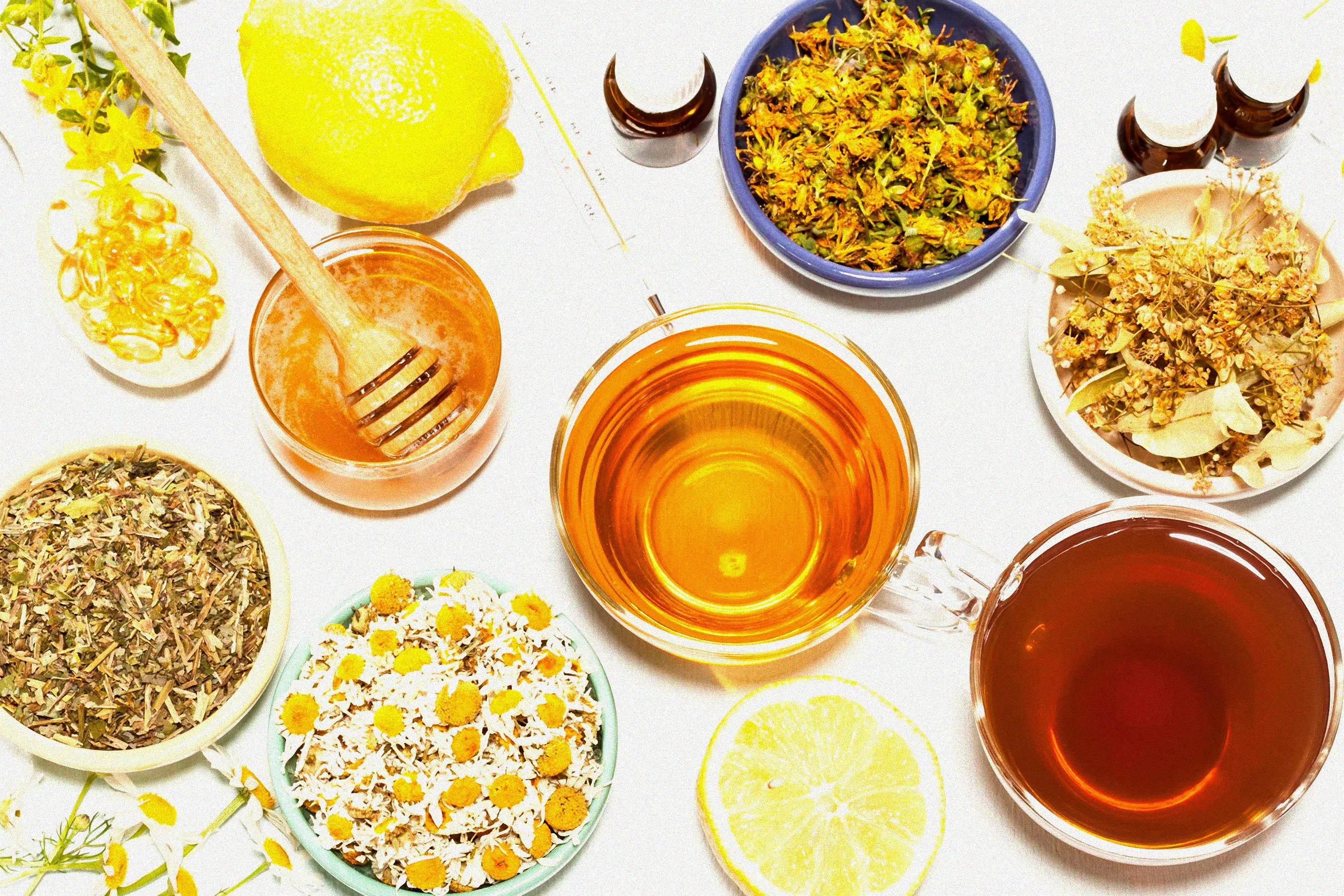 Fliegen auf Pflanzen loswerden