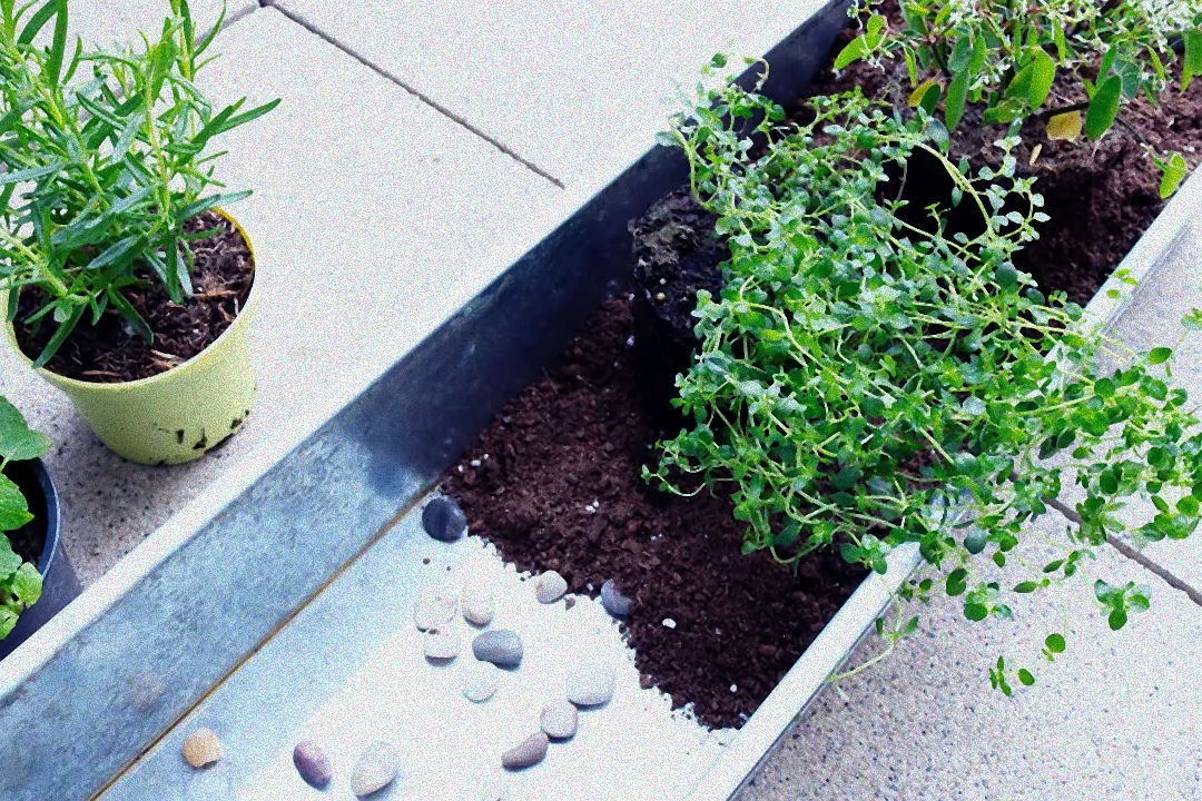 Bepflanzungsanleitung Hochbeet Balkon