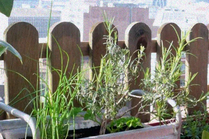 Hochbeet auf kleinem Balkon