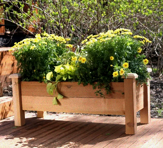 Pflege eines Balkon-Hochbeets