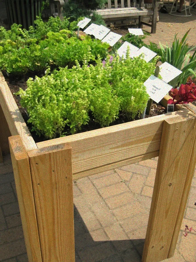 Pflanzen im Balkon-Hochbeet