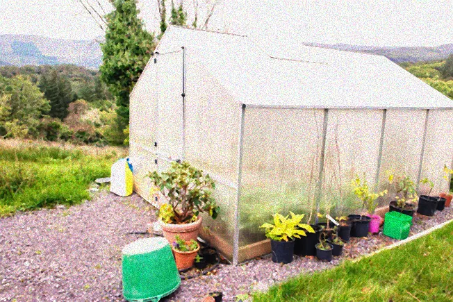 Frische Kräuter im Winter