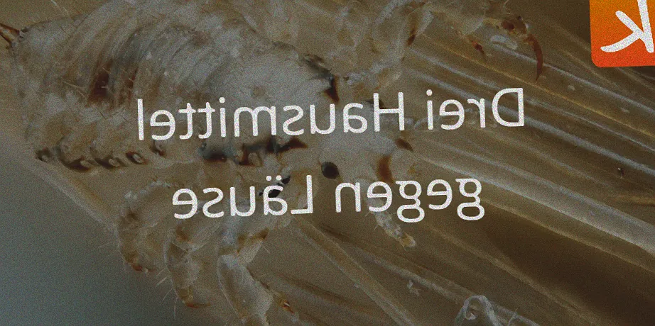 läuse blumen hausmittel