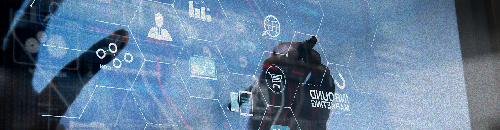 Pflege einer Njoy Pflanze