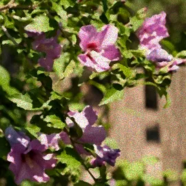 Anfänger pflanzt blühende Sträucher
