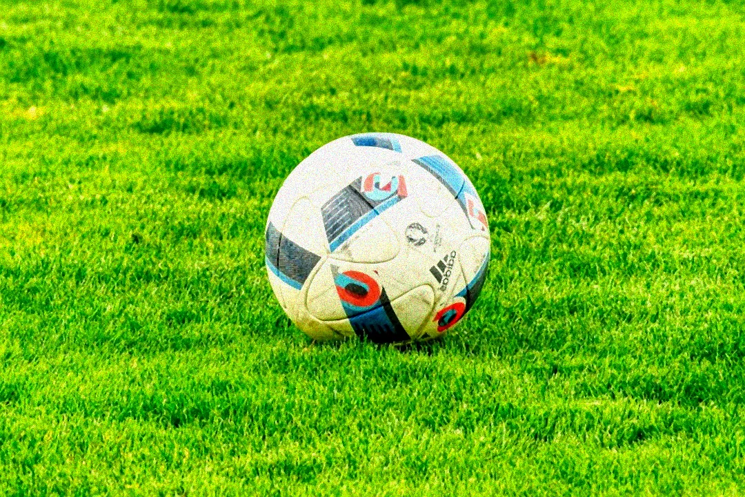 Winterlicher Rasen mit Dünger