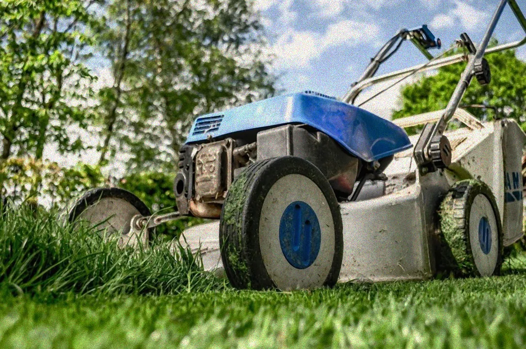 Düngen des Rasens bei Kälte