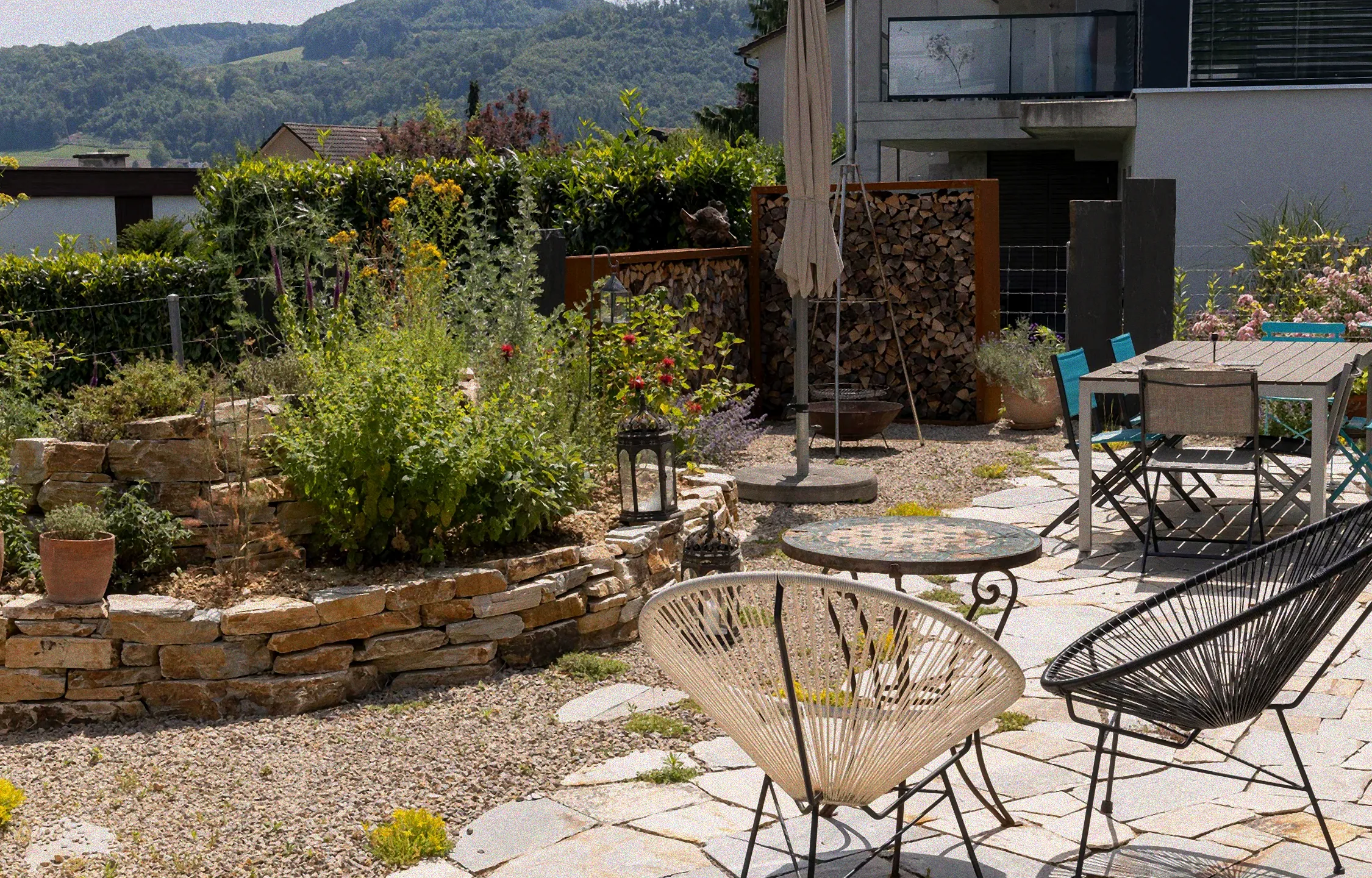 Larven des Rüsselkäfers an Kirschlorbeerwurzeln