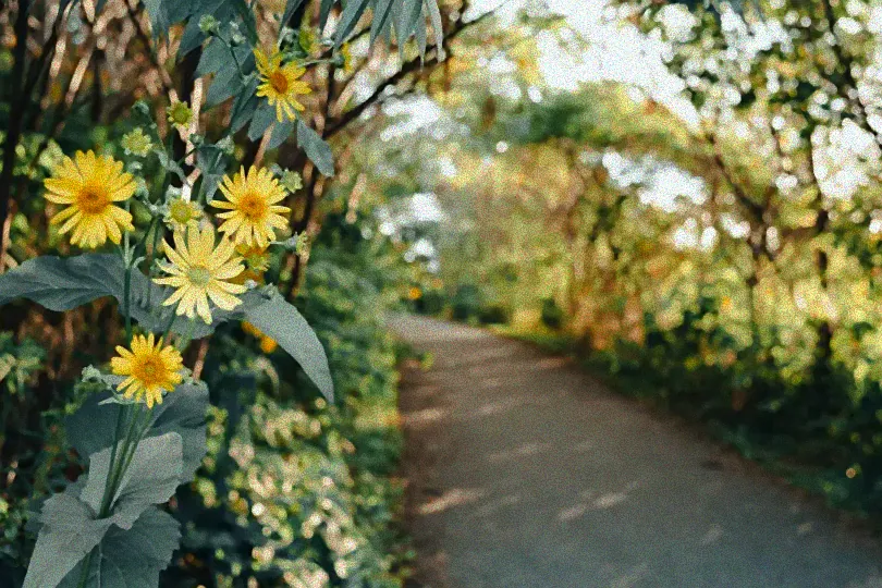 Moderner schmaler Garten mit Sitzbereich