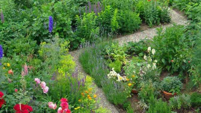 Schlauchförmiger Garten mit modernem Design