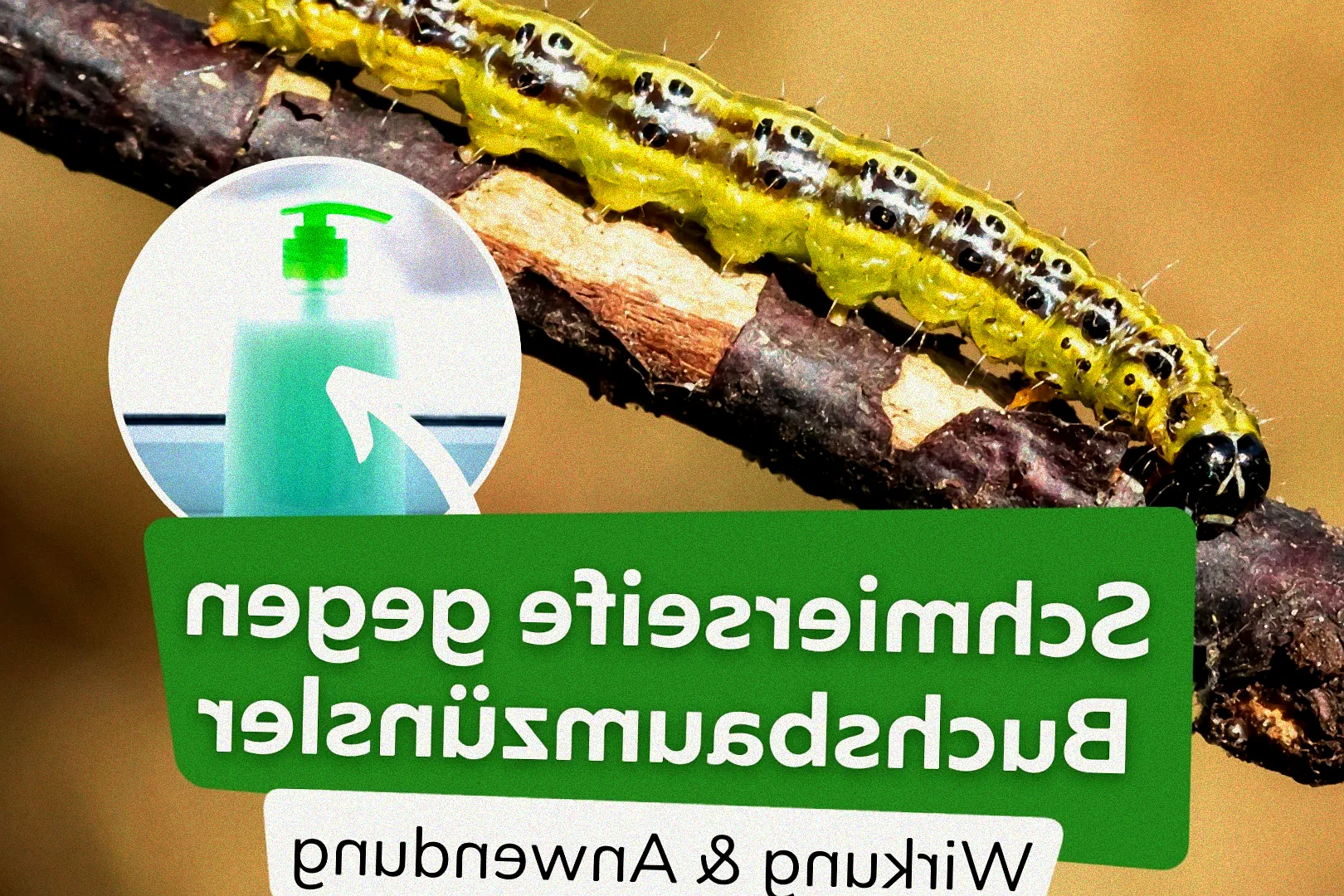 schmierseife gegen schädlinge