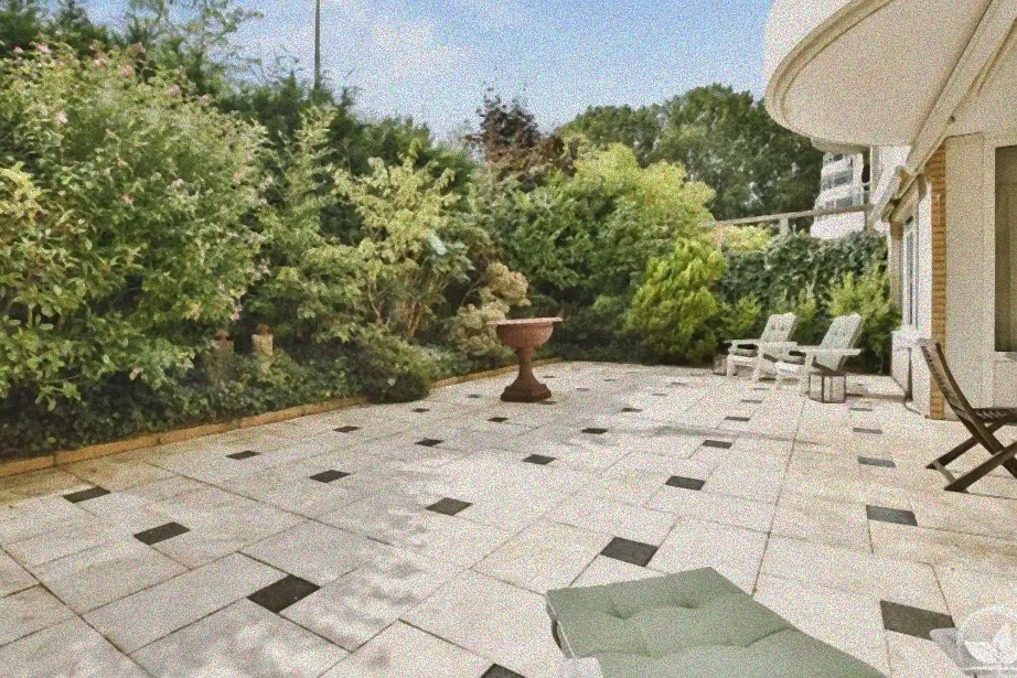 Immergrüne Hecken als Sichtschutz