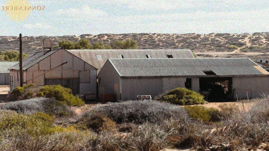 Frostharte Stauden in voller Blüte