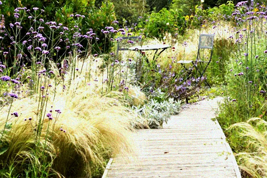 stauden für sonne winterhart