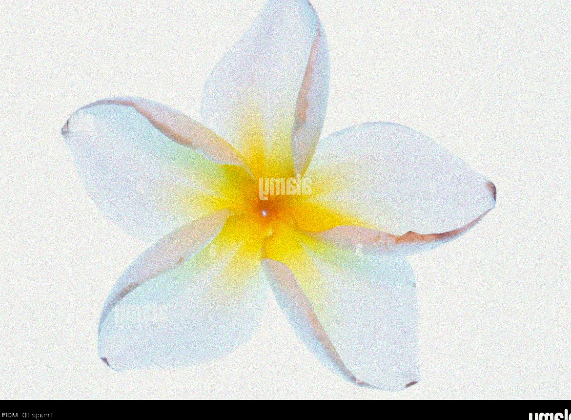 Blüten mit starkem Duft