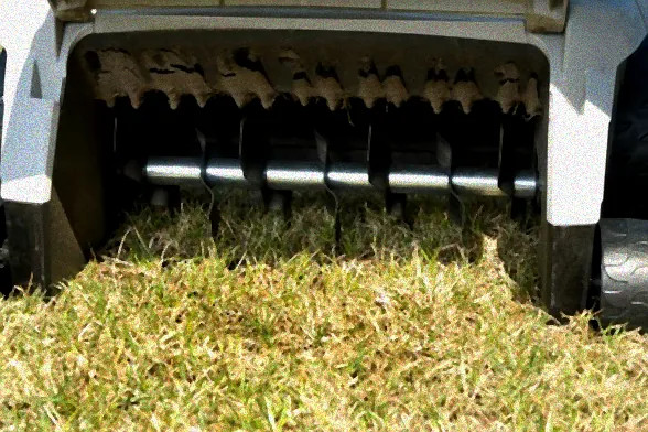 Vertikutierer im Einsatz auf Rasen