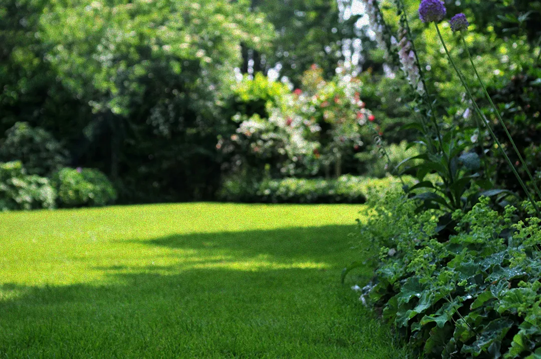 Belüftung des Rasens durch Vertikutieren