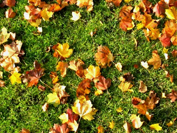 vertikutieren ende oktober