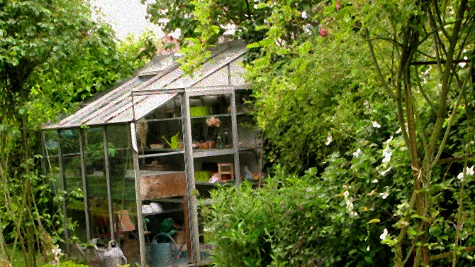 Palme mit Winterschutz