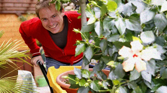 Kälteverträgliche Palme im Freien