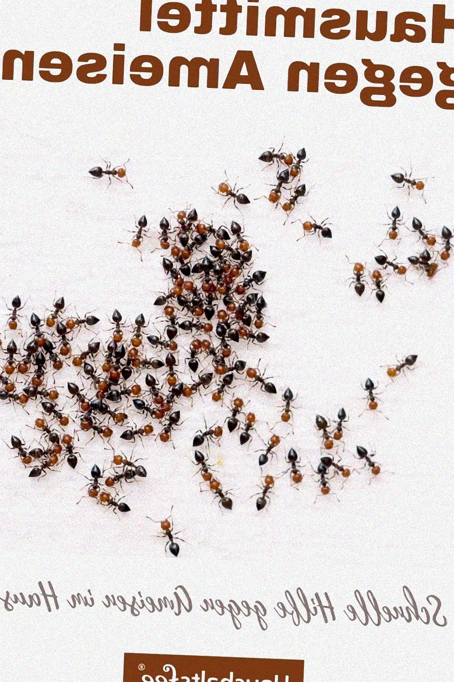 Dichtungen an Fenstern und Türen