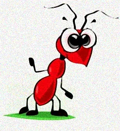 wirksam gegen ameisen im haus