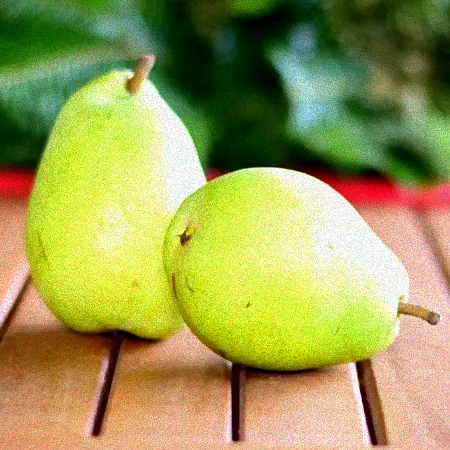 Insektenhotel bei Regen