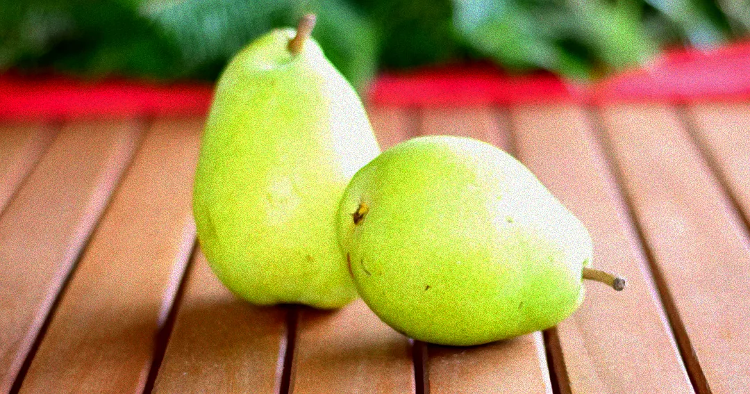 Biene am Insektenhotel